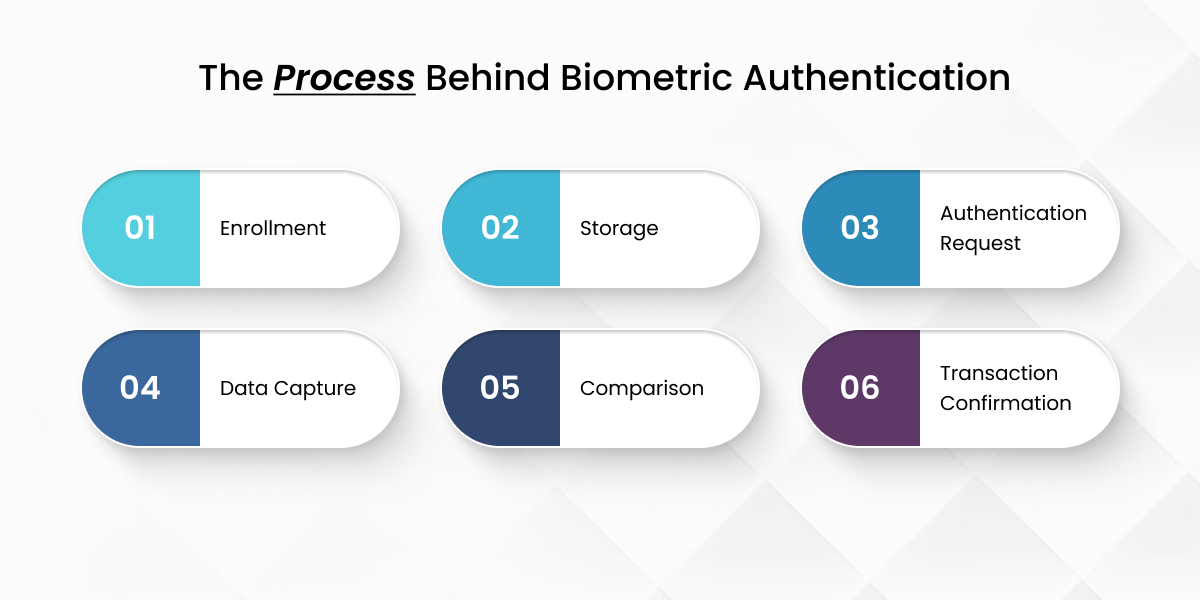 How Do Biometric Systems Work