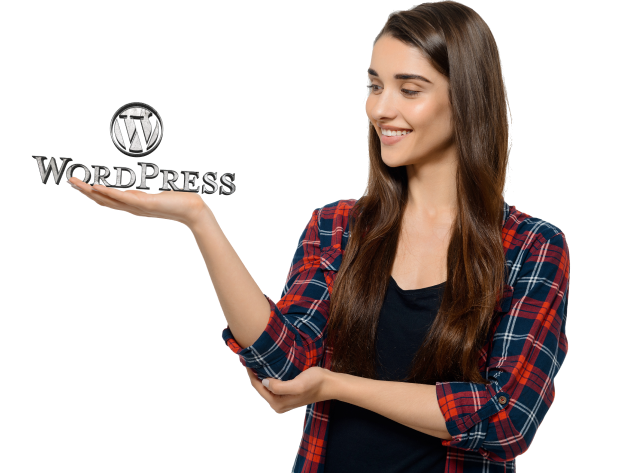 wordpress development services usa